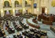 Parlamentarii au decis: pentru ei, buget dublu, pentru oamenii de rând, austeritate