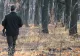 Pădurar agresat și sechestrat de persoane surprinse în timp ce tăiau ilegal arbori