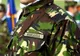 20 de elevi din școlile și colegiile militare, infectați cu noul coronavirus - MApN