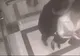 A urmărit-o până în lift, a intrat după ea. Apoi a pipăit-o şi a vrut s-o dezbrace. S-a filmat tot