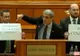 "Nu votați ca oile lui Daea!" Ce fărădelegi au făcut aleșii PSD-ALDE în "miercurea neagră"