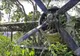 Avionul cu 98 de persoane la bord s-a prăbușit în junglă. După 9 zile, din pădure a ieșit o fată...