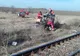 Un bărbat s-a aruncat în fața unui tren, în Năvodari