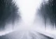 ALERTĂ METEO. Cod GALBEN de vânt puternic şi ceaţă