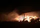 Incendiu violent la Herghelia Mangalia