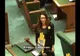 Limbaj suburban. Cuvinte obscene de la PSD pentru o senatoare USR care împărțea cărți