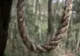 Un bărbat a fost găsit sprânzurat în pădure. Polițiștii l-au identificat 