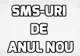 SMS-uri de Anul Nou - Alege mesajul potrivit pentru personalitatea lui