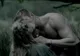 Metoda sexuală a vikingilor căreia nicio femeie nu îi putea rezista