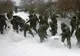 COD GALBEN de vânt și ninsori. Mobilizare uriașă a militarilor 