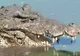 Erau în vacanţă. Dintr-odată a apărut un crocodil. Câinele familiei s-a propiat de el. Ce a urmat