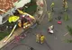 O aeronavă s-a prăbușit peste case în SUA. Bilanțul până la această oră