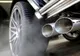 Șocant: 10 maimuţe folosite de Volkswagen la testarea emisiilor de carbon