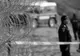 INCREDIBIL! Iată cum au pătruns 11 migranți în Ungaria
