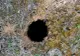 A săpat adânc în pământ, ca să planteze floarea-soarelui. A dat de un contanier. L-a deschis şi...