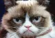 Grumpy Cat a câştigat în instanţă despăgubiri record 