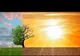 Temperaturi de primăvară pentru ianuarie. Cauza? Omul și industria, la baza schimbărilor climatice