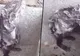 Adevărul cutremurător din spatele filmuleţului cu şobolanul la duş. Ţi se rupe sufletul...