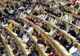 Întrebarea CAPCANĂ, ultima din examen, care i-a ŞOCAT pe elevii unei universităţi
