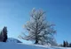 Vreme neașteptată în următoarele două zile. Anunțul meteorologilor