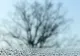 Temperaturile se schimbă simțitor. Prognoza meteo pentru joi și vineri
