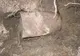 Au săpat adânc şi au găsit o oală de tinichea. Uimitor ce era în ea. Au devenit milionari în dolari