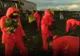 Tinerii britanici au încercat să facă munca imigranților, pe câmp. Rezultatul: eșec total - VIDEO