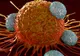 Descoperire impresionantă: De ce apare, de fapt, cancerul. Medicii sunt şocaţi