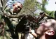 Ritualul bizar al militarilor din SUA şi Thailanda, la finalul unui exerciţiu militar în Asia