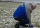 Imagini fabuloase: Petre Daea pe câmp, în plin viscol! E bine până acum! (VIDEO)