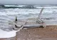 VIDEO. Imagini uluitoare surprinse la malul Mării Negre