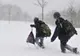 Vremea în Bucureşti. Avertisment meteo: Ninsori, vânt şi strat de zăpadă de 35 cm