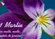 MESAJE DE 1 MARTIE 2018. Tu știi de ce se dau mărțișoare de 1 Martie?