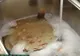 A așezat pliculețe de ceai în chiuvetă și a așteptat 10 minute. Rezultatul te va lăsa fără cuvinte