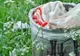 România interzice acest tip de pungi de plastic