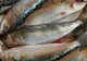 Când trebuie să eviți consumul de sardine