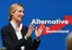 Șoc in Germania: Extrema dreptă e tot mai puternică, social-democrații se prăbușesc