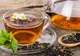 Fresh Refresh: Plantele, remediu cu reguli