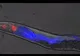 Cum se instalează moartea în organism. Un experiment fără precedent surprinde momentul