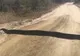 Au crezut că este un limitator de viteză. Când s-au apropiat, monstrul a deschis gura