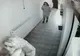 Bătaie cruntă într-o primărie din Argeş, între secretara şi consiliera primarului (VIDEO)