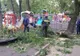 Copil rănit în parcul Cişmigiu, din cauza unei crengi căzute dintr-un copac, la locul de joacă