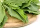 Dieta de primăvară care îţi schimbă sângele. Efectele ei sunt miraculoase
