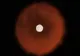 Astronomii au filmat o stea care a explodat. Imagini uimitoare