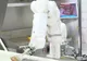 Robotul Masterchef pregătește burgeri în restaurante. Cum arată în acțiune
