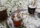 Alertă meteo de ultimă oră: COD GALBEN de furtuni şi grindină - HARTA 
