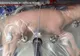 Acesta e viitorul. Primii foetuşi crescuţi în uterul artificial extern  