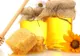 Ingrediente care pot înlocui zahărul dacă ţi-e poftă de "ceva" dulce