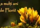 Floriile 2018. Ce nume sunt sărbătorite în Duminica Floriilor: Spune-le LA MULȚI ani de Florii!