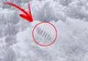 Ce s-a prăbuşit în Antarctica? Obiectul MISTERIOS descoperit prin Google Earth